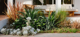 Layered, textural planting schemes provide year round structure and character, casting dramatic shadows. 