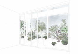 Illustration for a balcony garden 