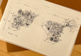 Draft sketch for a compact, modular planter garden designed for the parking spot of our dear friends at The Third Line Gallery 
