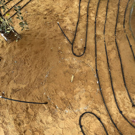 Laying irrigation lines and planting bed in anticipation of plants 