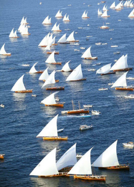 Al Gaffal Dhow Race, Dubai