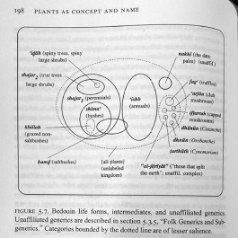 Bedouin Ethnobotany. Plant Concepts and uses in a Desert Pastoral World. James P. Mandaville